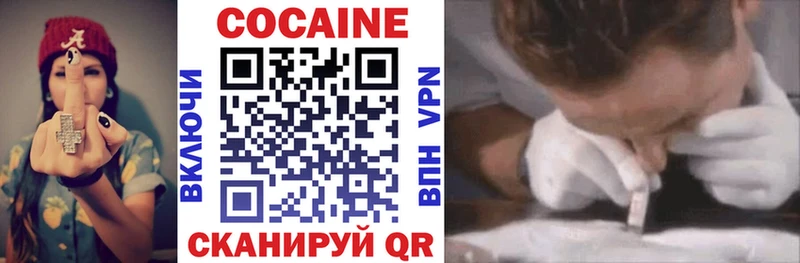 Cocaine FishScale  купить наркотики цена  Кимры 