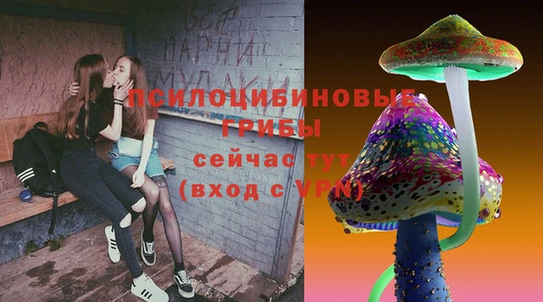 стафф Алзамай