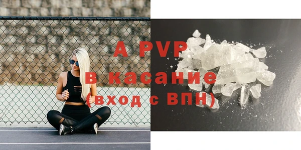 стафф Алзамай