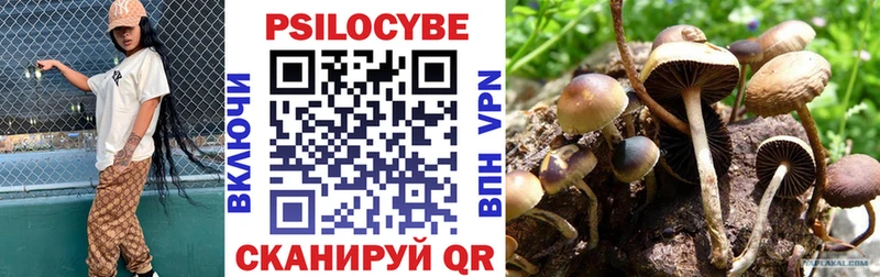 Псилоцибиновые грибы Psilocybine cubensis  МЕГА   Кимры 